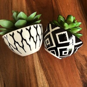 Small Faux Succulent Plants set of 2